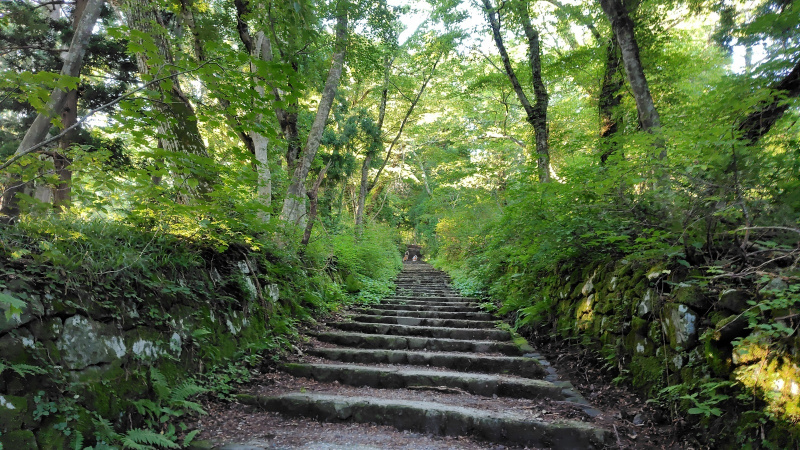 石垣に囲まれた石段