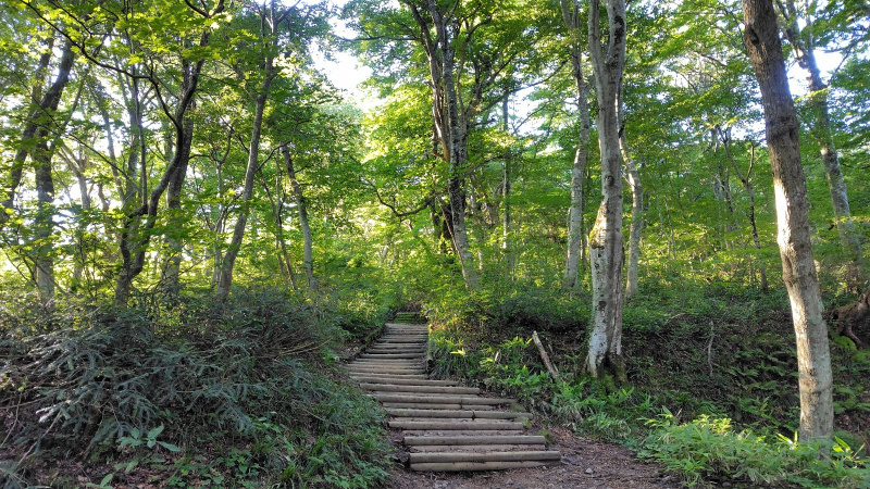 大山木段はじまり