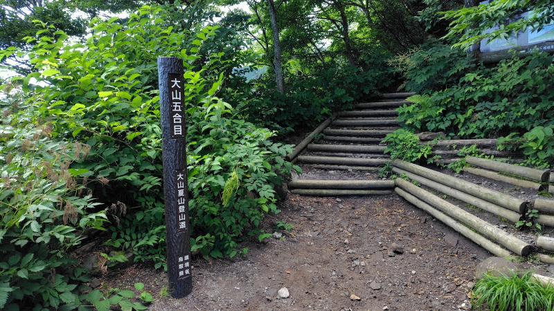 大山夏山登山道の五合目