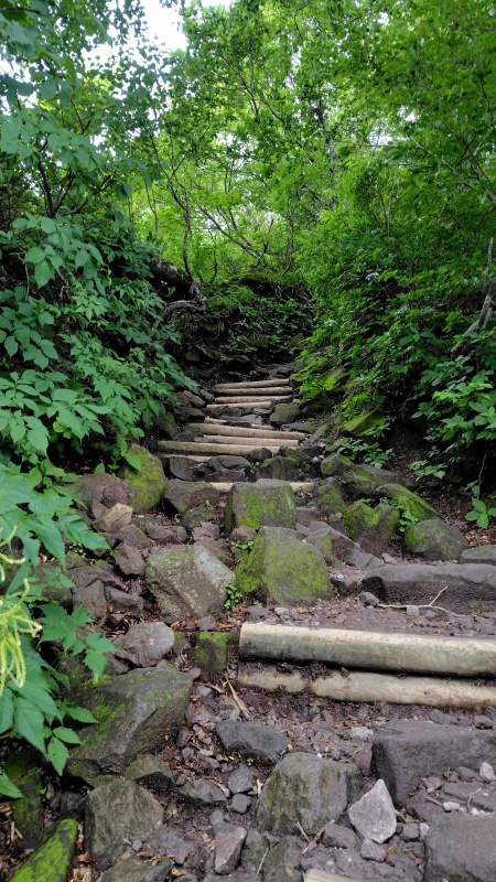 大山登山道