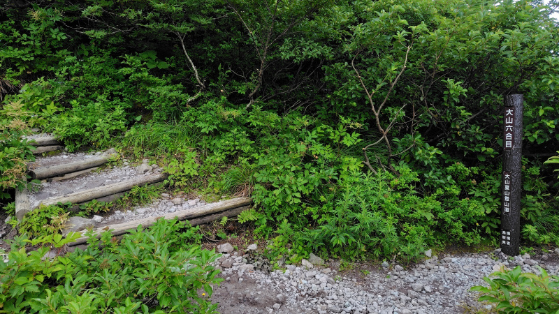 大山夏山登山道六合目