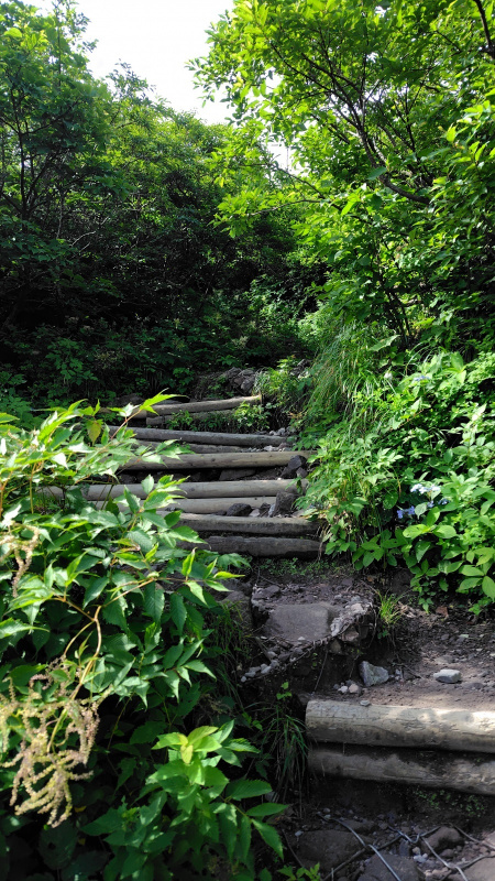 大山夏山登山道