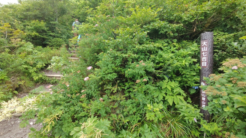 大山夏山登山道七合目