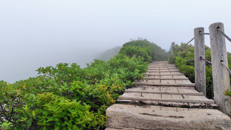 大山(弥山)木道