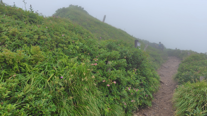 大山登山道