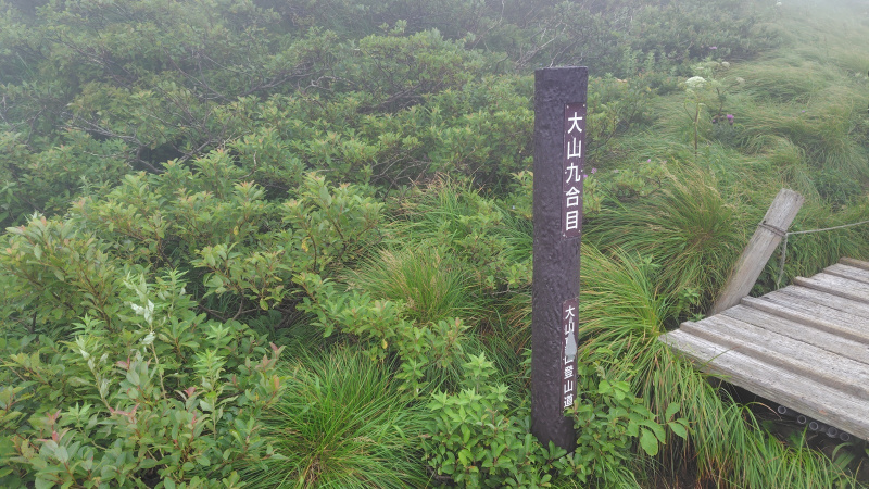 大山夏山登山道九号目