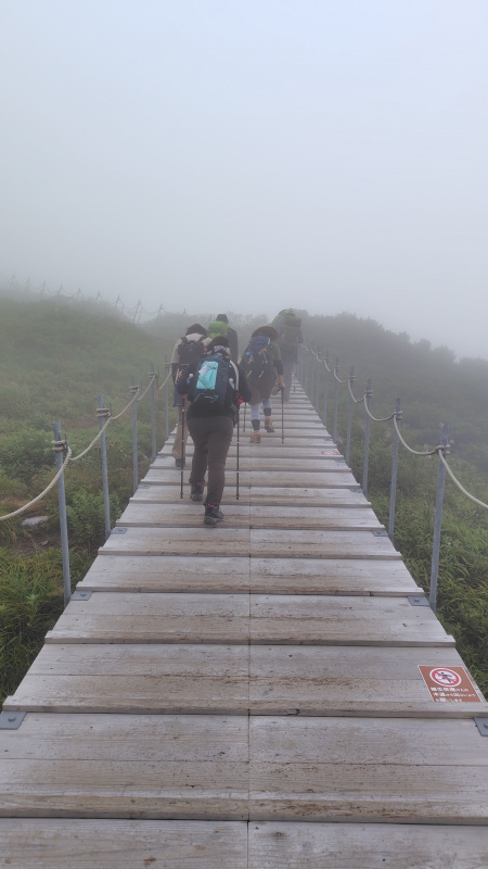 大山頂上付近の木道