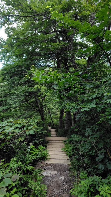大山行者谷コース