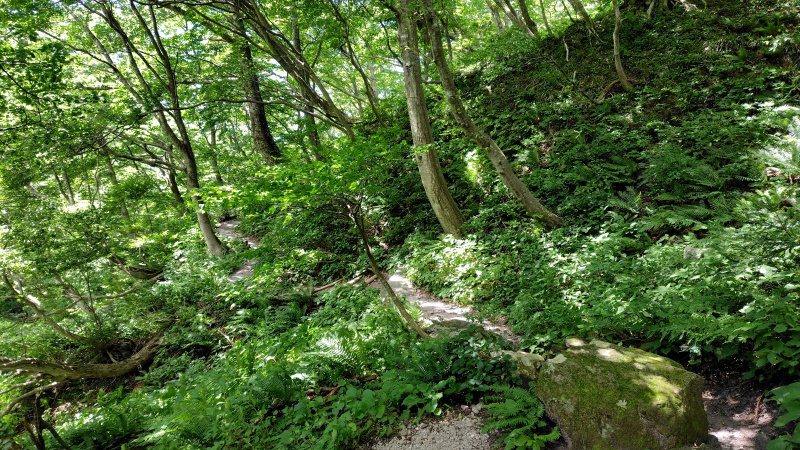 大山元谷散策コース