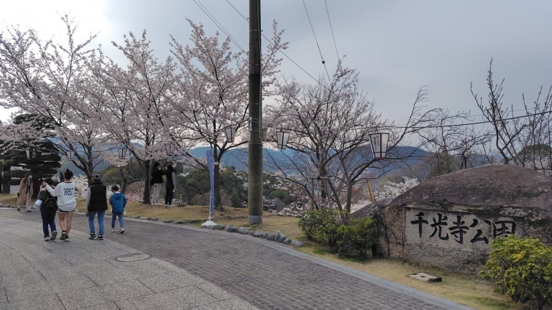 千光寺公園1