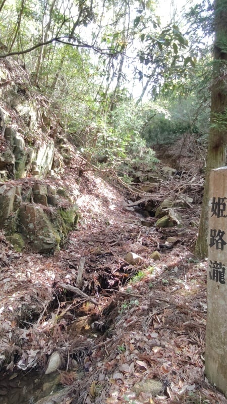 姫路瀧