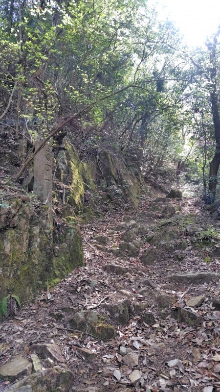 篁山登山道
