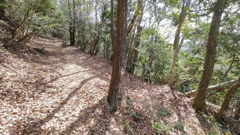 松ヶ嶽城跡への分岐