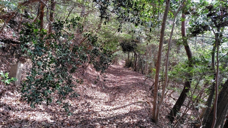 竹林寺へ参道