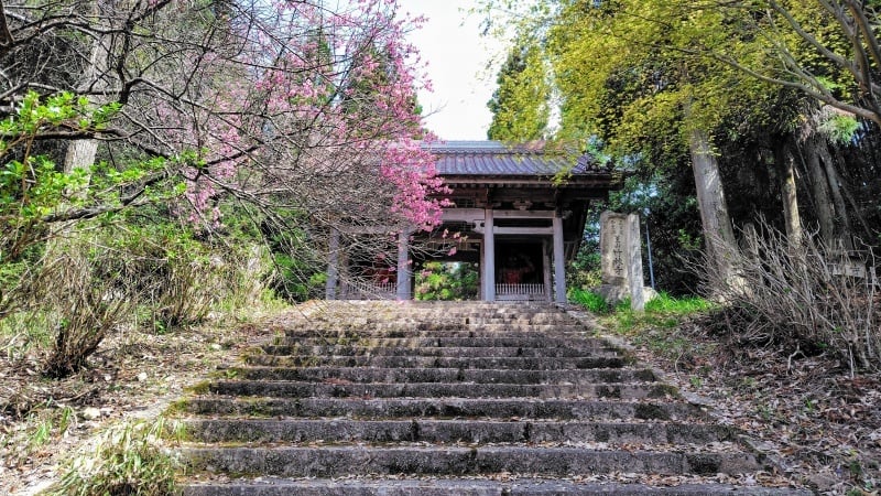 竹林寺の仁王門