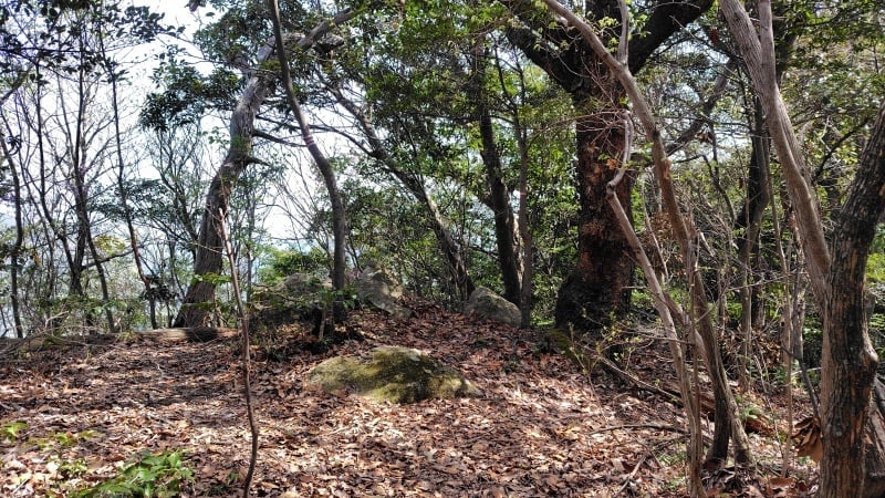 篁山の山道