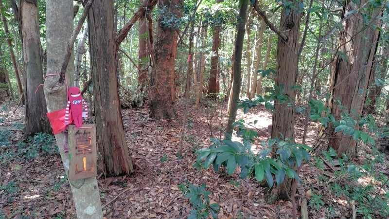 篁山の山頂