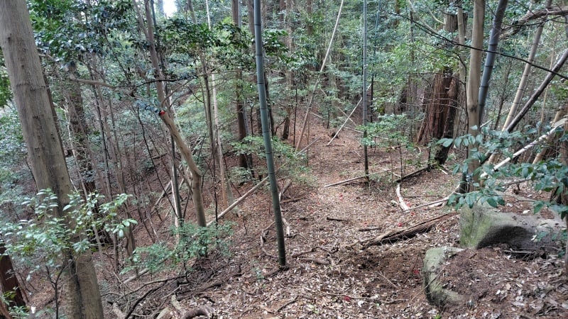 篁山からの下山道