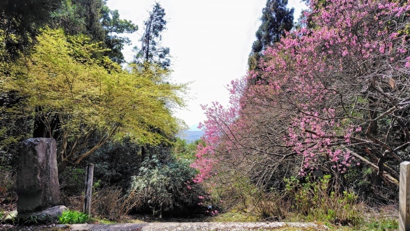 竹林寺の仁王門
