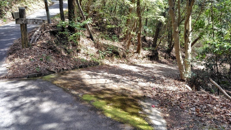 竹林寺登山道分岐