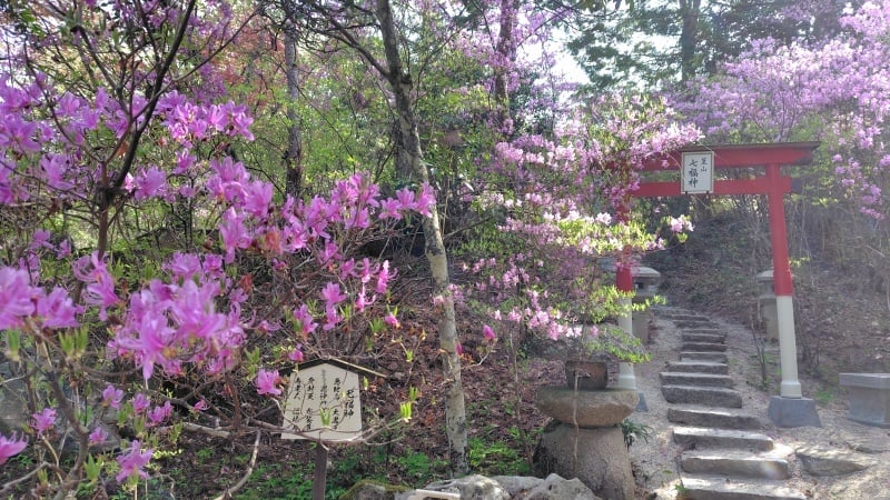 篁山鳥居