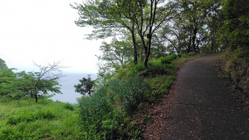 因島天狗山へ