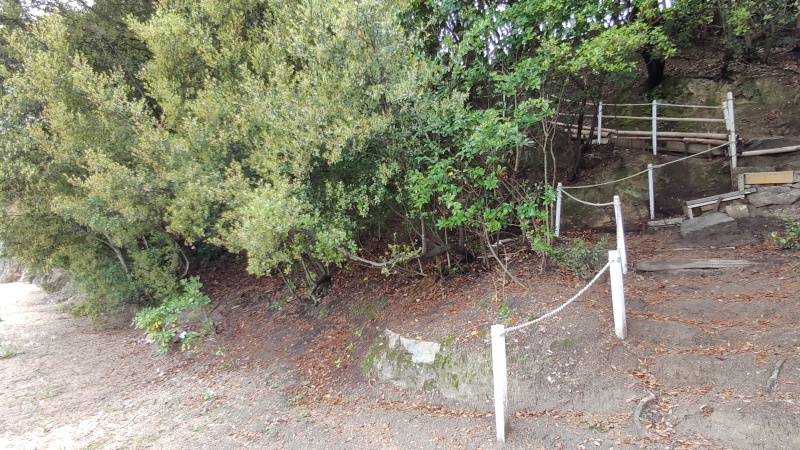 五柱神社入口
