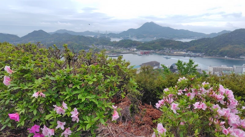 因島公園ツツジ越しの生名島と岩木島