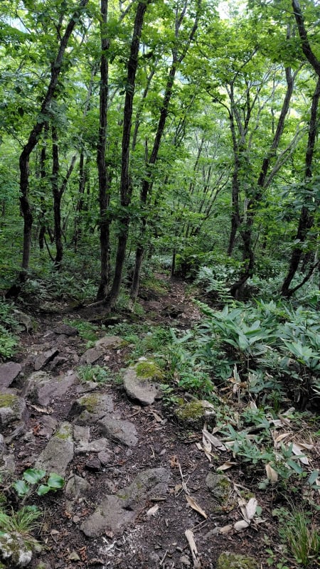 太平山登山道