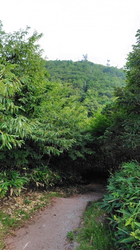 女三瓶山の登山道