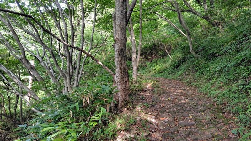 女三瓶山登山道の石敷き