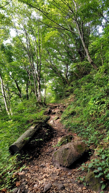 女三瓶山登山道