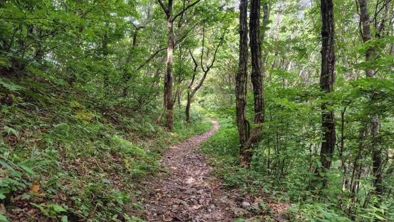 男三瓶山登山道