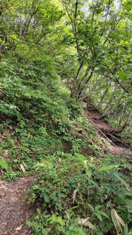 男三瓶山登山道の急勾配(ロープ場)