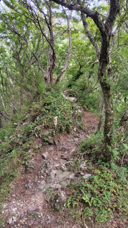 男三瓶山登山道