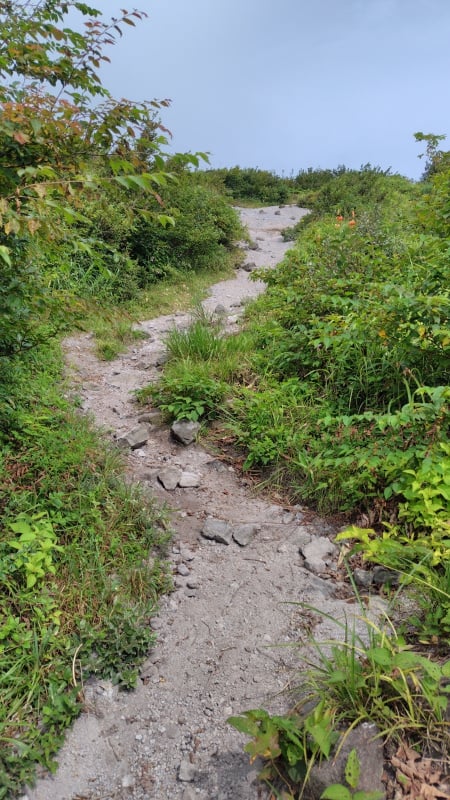 男山登山道砂利道