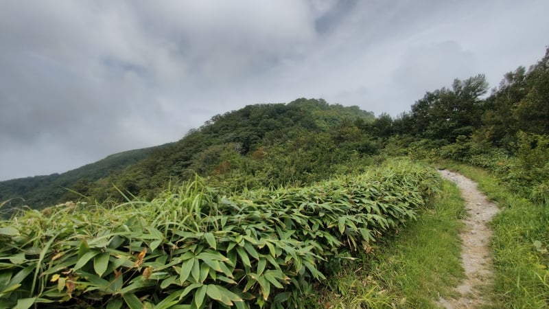 男三瓶山山頂付近