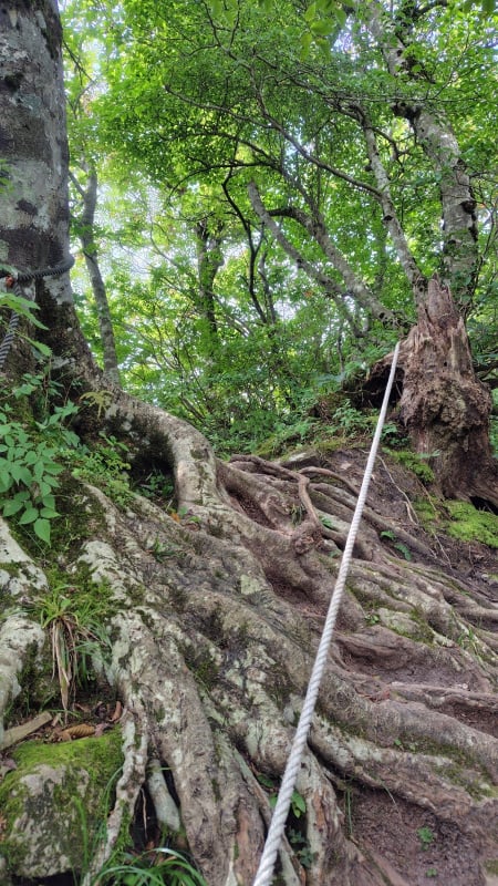 男三瓶山登山道のロープ場