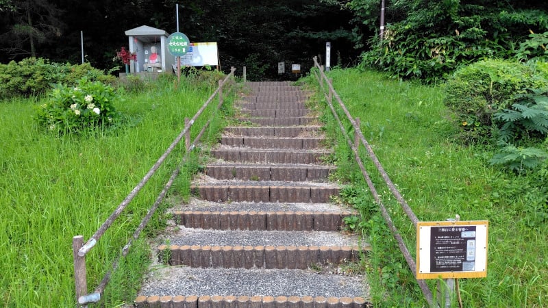 三瓶山女夫松登山口