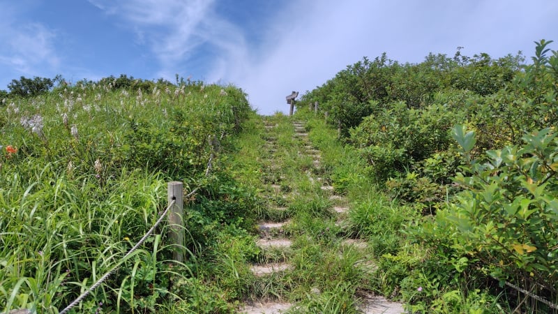 男三瓶山の山頂手前
