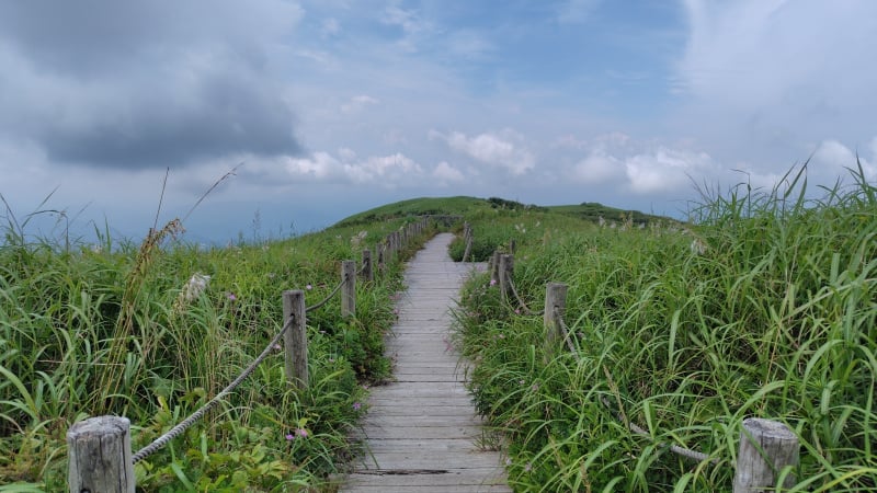 男三瓶山山頂の歩道