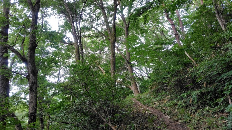 三瓶山登山道