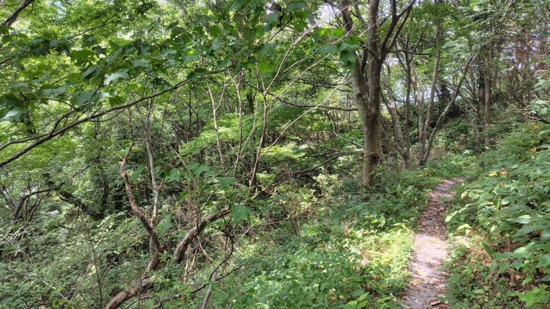 子三瓶山の登山道