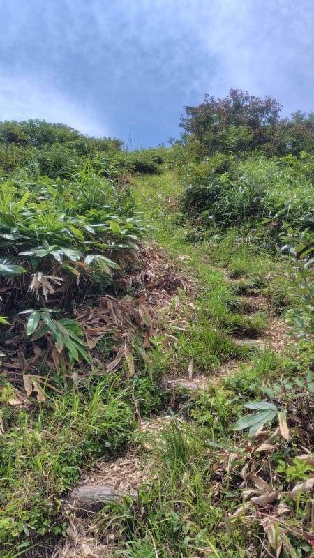 子三瓶山山頂付近