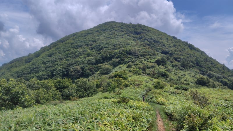 子三瓶山と孫三瓶山の鞍部