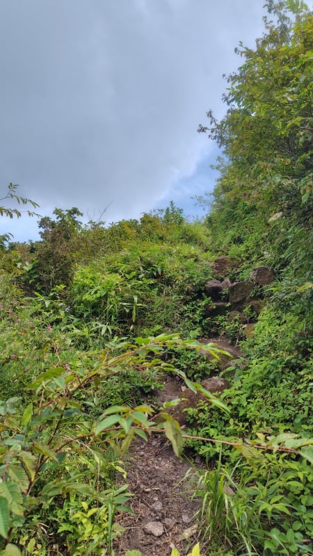 子三瓶登山道