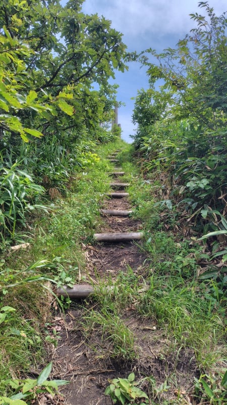 孫三瓶山の山頂付近