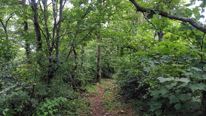 孫三瓶山登山道