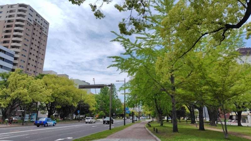 平和大通り
