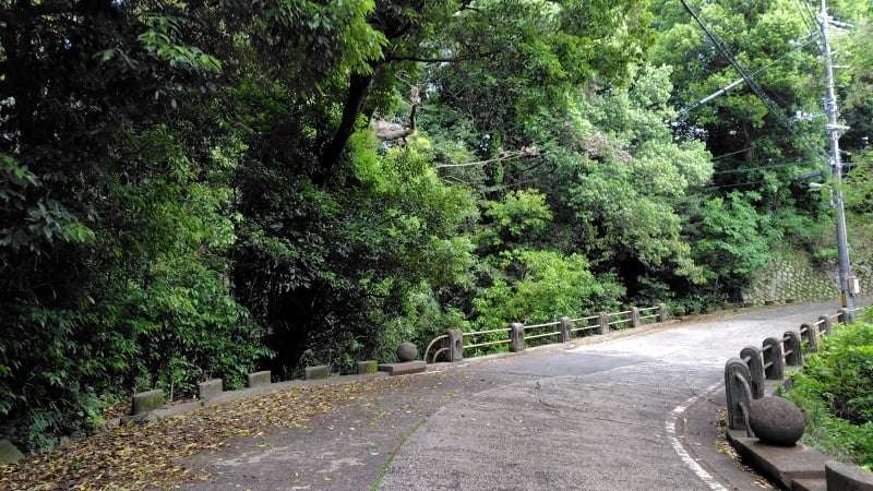 比治山内車道